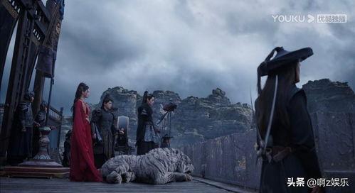 澹台烬手下吃瓜,吃瓜群众背后的故事