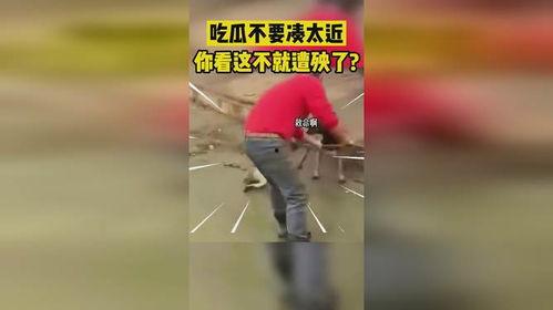 吃瓜不要凑太近,吃瓜有度——警惕过度凑热闹