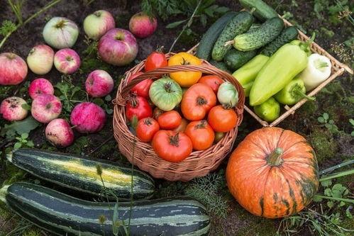 吃瓜5 xzy,XZY背后的故事与真相