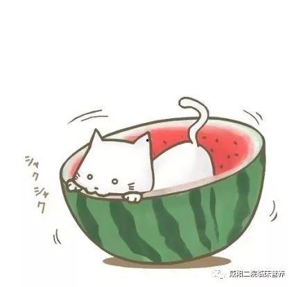 吃瓜必备姿势图片,一图掌握瓜界潮流