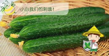 佳觅吃瓜,揭秘娱乐圈那些不为人知的幕后故事