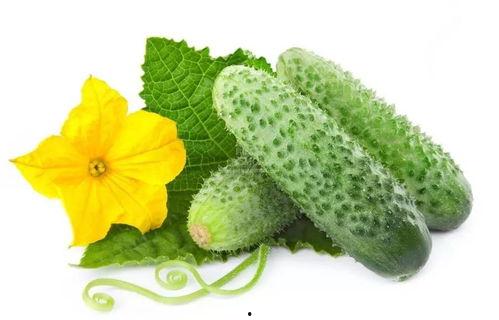 吃瓜系统宋娇娇,吃瓜系统背后的神秘女子