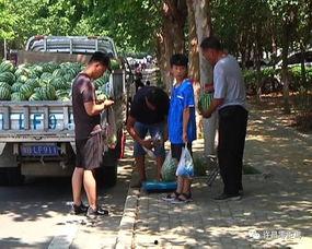 来宾吃瓜群众,揭秘娱乐圈幕后风云