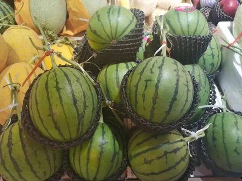 小料吃瓜,揭秘娱乐圈幕后故事