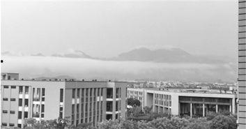 杭州技师学院吃瓜,揭秘校园里的“瓜田”风云