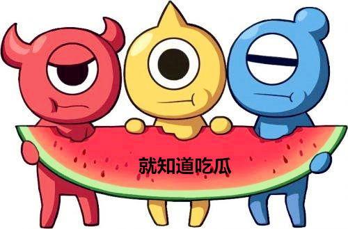 吃瓜群众考试,吃瓜群众视角下的考试风云