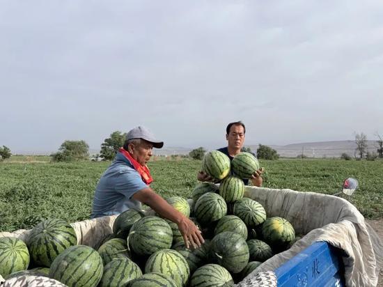 铜乡吃瓜,探寻铜乡特色美食之旅