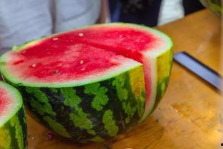 生椰吃瓜制作,探索夏日新饮品的独特魅力