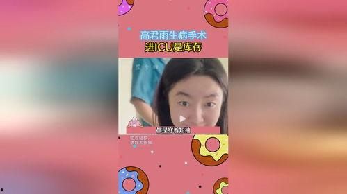 豪华吃瓜小说,权谋与瓜田的华丽对决